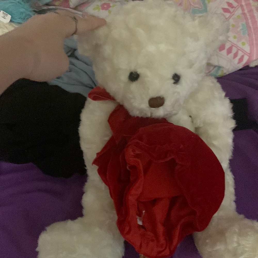 santa bear